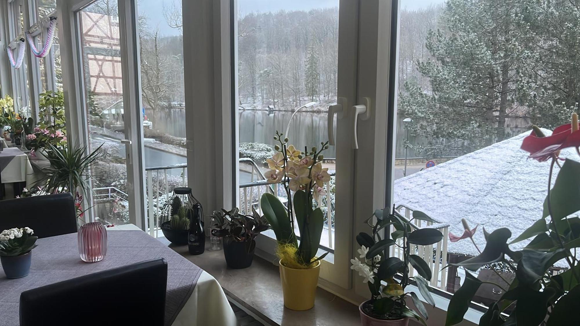 Haus Am See Бад-Закса Экстерьер фото
